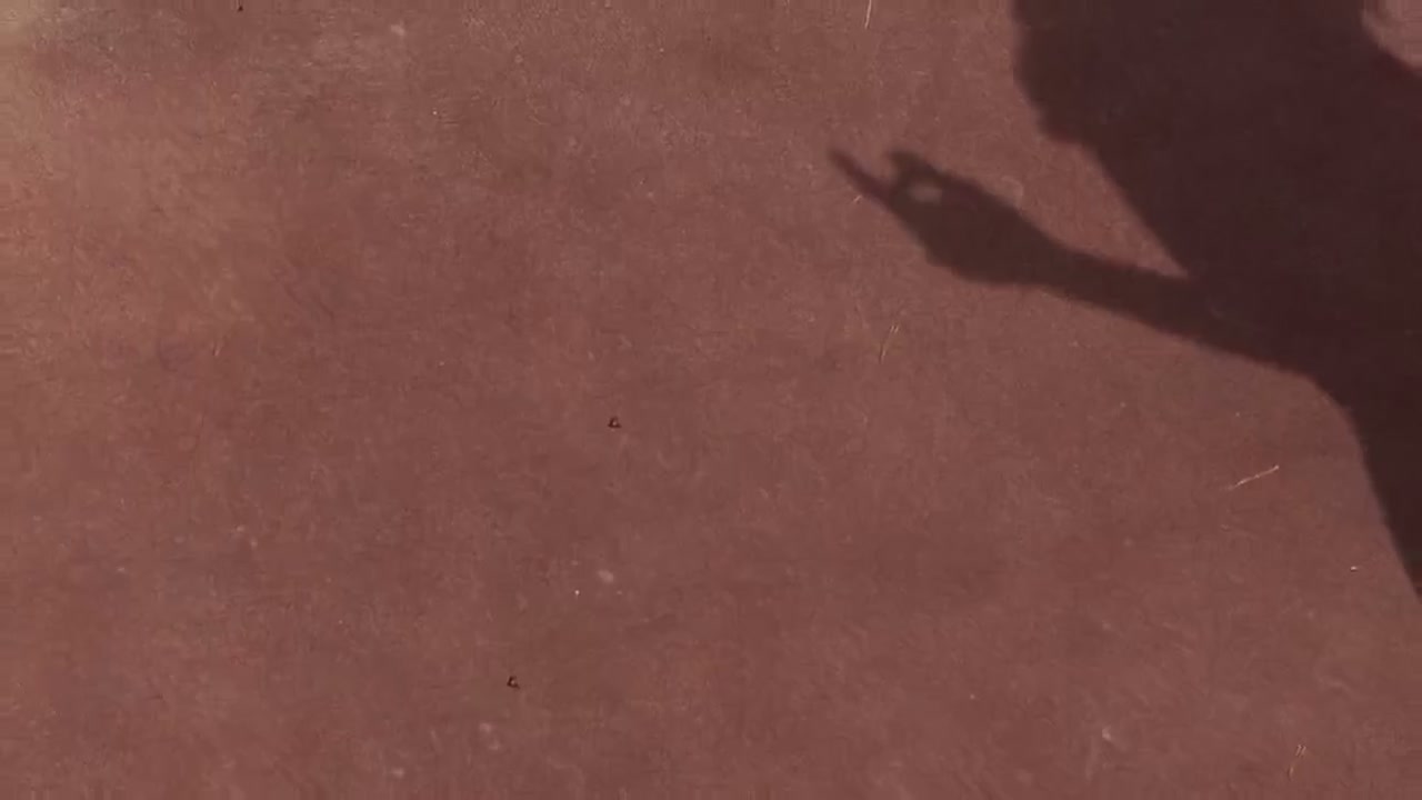 ATP 테니스 배팅: 마이애미 오픈 야간 습도 분석 및 실시간 오버 픽 전략 동영상 썸네일
