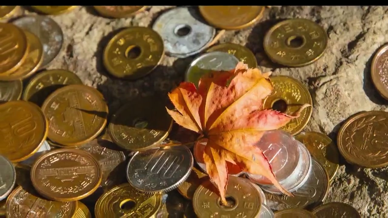 [외환 스캘핑] BOJ 금리 루머 기반 달러/엔(USD/JPY) 역추세 단타 및 카지노 수익금 환전 방어 전략 동영상 썸네일