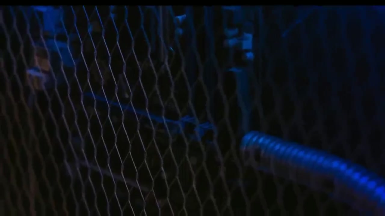 [크립토 월요장] 아비트럼 플래시론 차익거래 스캘핑 타점과 카지노 롤링자금 심층 분석 동영상 썸네일