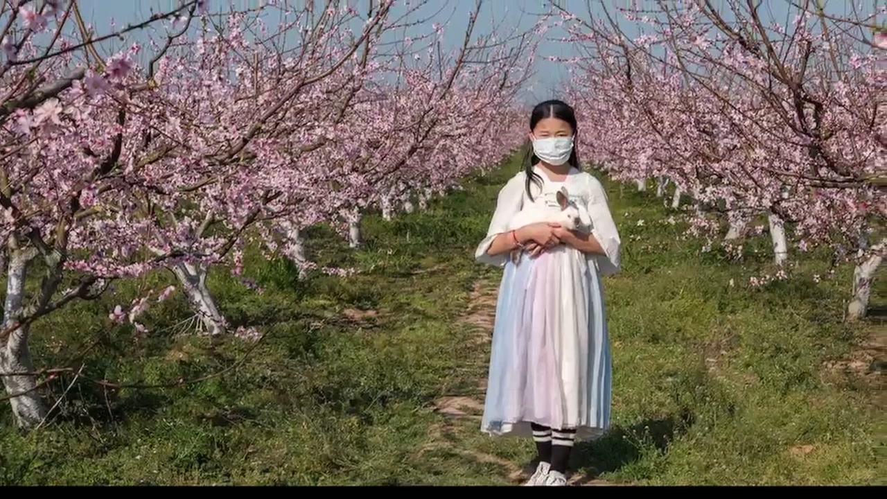 봄철 황사와 미세먼지로부터 내 몸 지키기: 식단, 운동, 그리고 실내 휴식의 기술 동영상 썸네일
