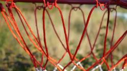 4월 NBA 플레이인 토너먼트: 클러치 타임 원정팀 자유투 하락과 핸디캡 커버의 나비효과 심층 분석 (안전놀이터 추천)
